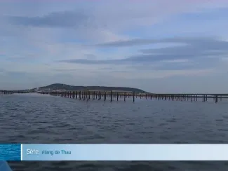 Les hommes et l’étang, « et si le printemps ne revenait pas ? »